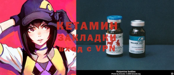 шишки Горняк