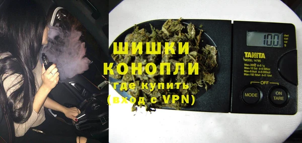 шишки Горняк