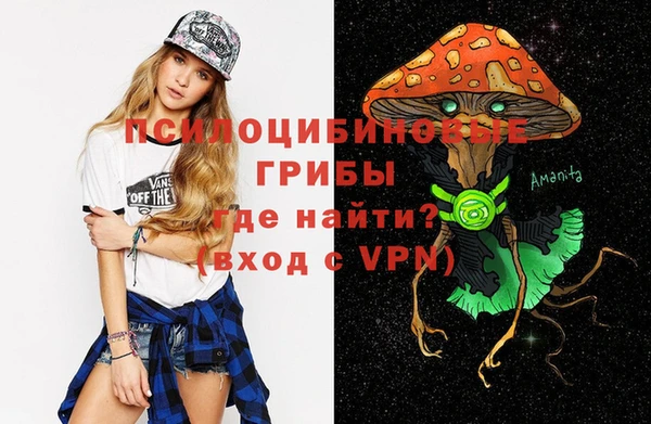 шишки Горняк