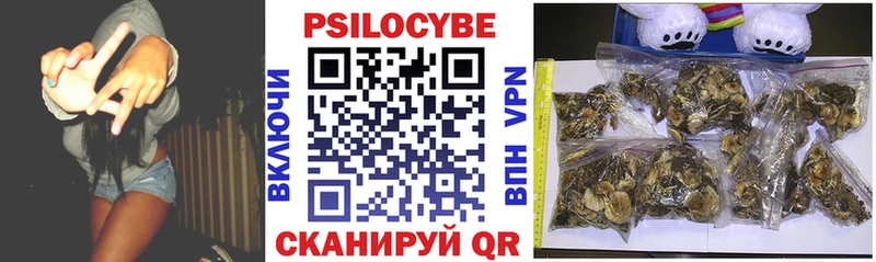 Галлюциногенные грибы Magic Shrooms где найти наркотики Уржум